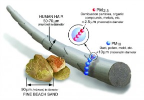 【轉載】 查了多篇科學文獻，給你一份PM2.5知識圖譜